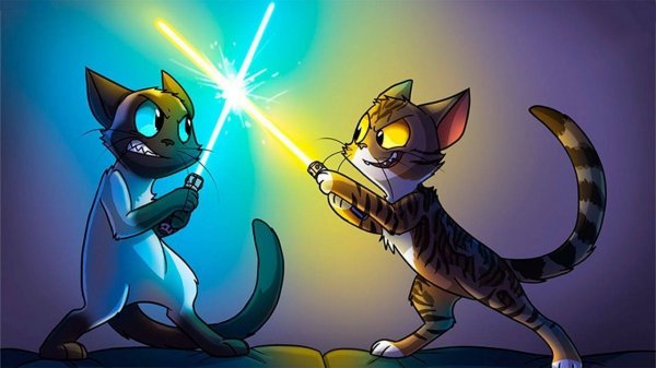 Stellar Feline Playground with Ocean Pups