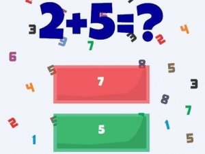 Number Quest: Arithmetic Practice