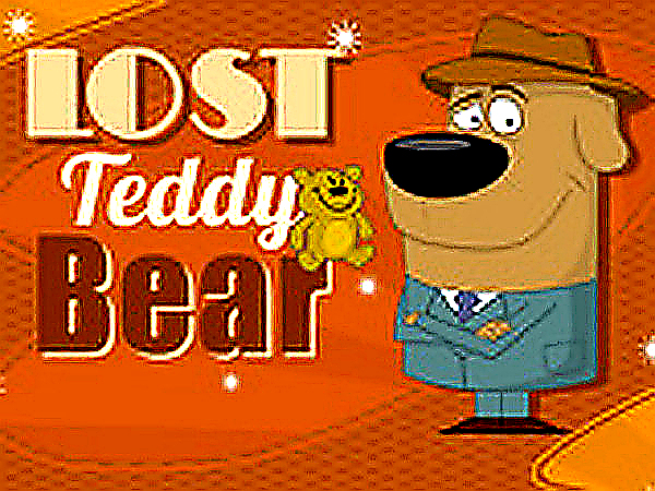 Plush Bear Lost and Found Puzzle