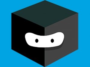 Number Selection Challenge Game