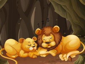 Zoo Jigsaw Puzzle