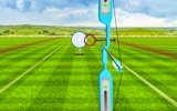 Archery Training Precision Arcade