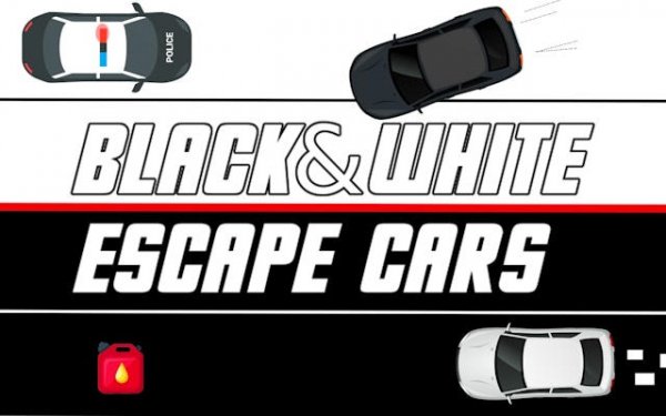 Dual Control Driving Escape