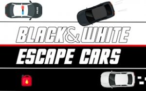 Dual Vehicle Navigation Puzzle