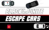 Dual Control Driving Escape