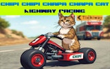 Cat Highway Racing Arcade