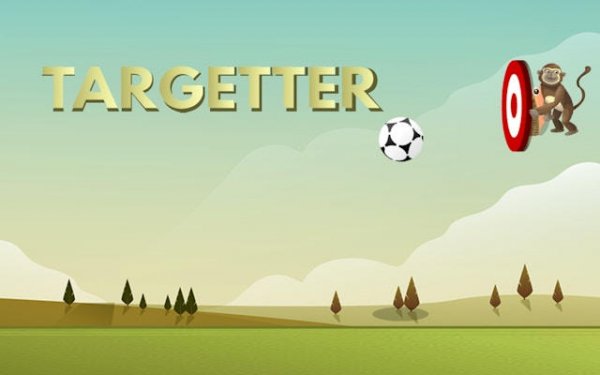 Targetter Precision Arcade Game